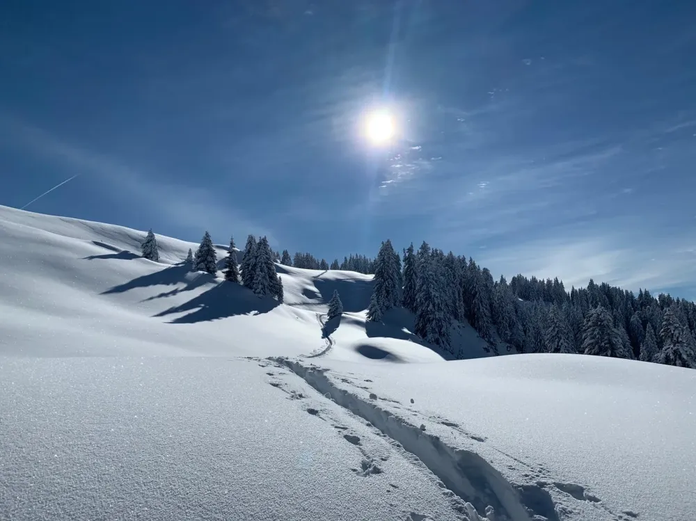 Nos Offres de Transport